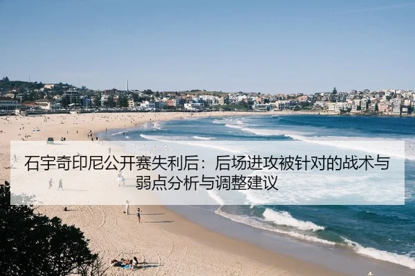 石宇奇印尼公开赛失利后：后场进攻被针对的战术与弱点分析与调整建议